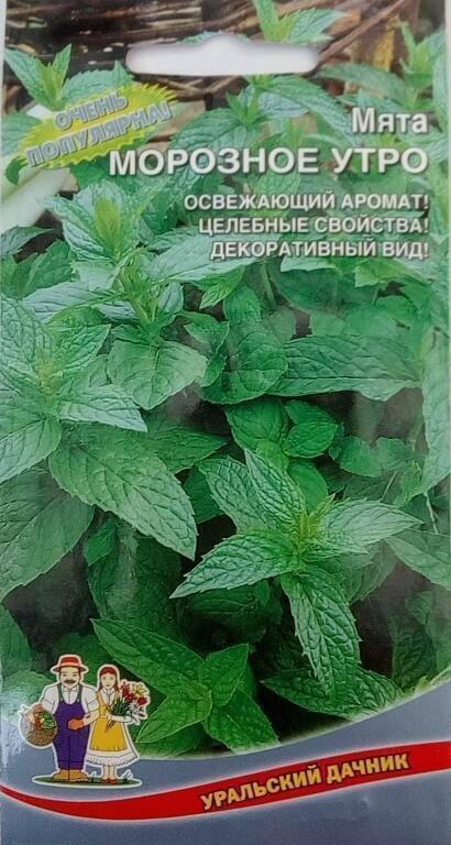 Купить оптом в Ботанике семена Мята Морозное Утро УД бренд Уральский дачник