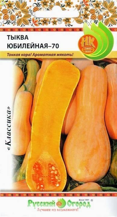 Купить оптом в Ботанике семена Тыква Юбилейная 70 НК бренд НК
