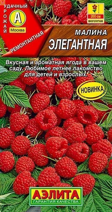 Купить оптом в Ботанике семена Малина Элегантная Аэл бренд Аэлита