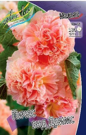 Купить оптом в Ботанике Мальва Пичес Энд Дримс 1шт