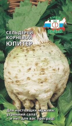 Купить оптом в Ботанике семена Сельдерей Юпитер корневой Сед бренд СеДеК
