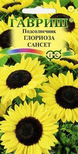 Купить оптом в Ботанике семена Подсолнечник Глориоза Сансет Гав бренд Гавриш