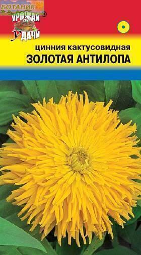 Купить оптом в Ботанике семена Цинния Золотая антилопа УУ  бренд Урожай Удачи