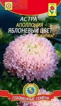Купить оптом в Ботанике семена Астра Апполония яблоневый цвет Плз бренд Плазмас