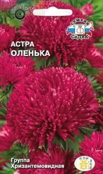 Купить оптом в Ботанике семена Астра Оленька Сед бренд СеДеК