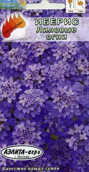 Купить оптом в Ботанике семена Иберис Гибралтарский лиловый Аэл бренд Аэлита
