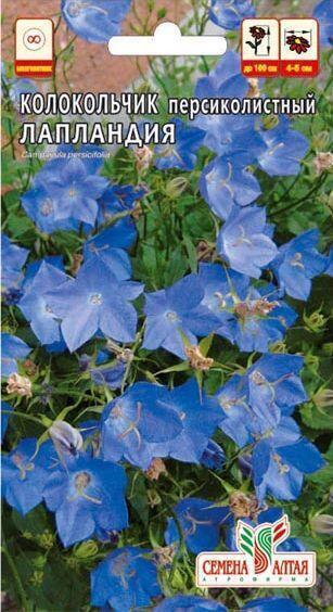 Купить оптом в Ботанике семена Колокольчик Лапландия СА бренд Семена Алтая
