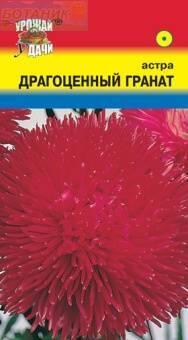 Купить оптом в Ботанике семена Астра Драгоценный гранат УУ бренд Урожай Удачи