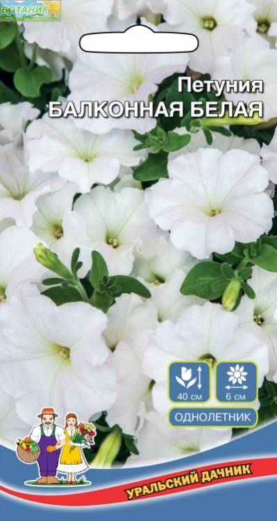 Купить оптом в Ботанике семена Петуния Балконная белая УД бренд Уральский дачник