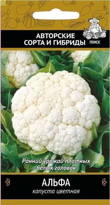 Купить оптом в Ботанике семена Капуста цветная Альфа Поиск бренд Поиск