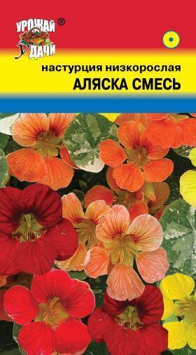 Купить оптом в Ботанике семена Настурция Аляска УУ бренд Урожай Удачи