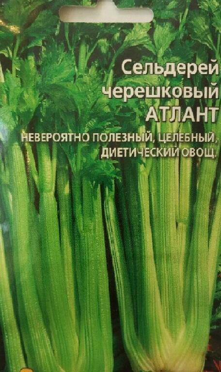 Купить оптом в Ботанике семена Сельдерей Атлант черешковый Мар бренд Марс