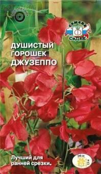 Купить оптом в Ботанике семена Душистый горошек Джузеппо Сед бренд СеДеК