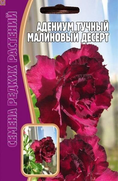 Купить оптом в Ботанике семена Адениум Малиновый десерт Реш бренд Решение, ООО