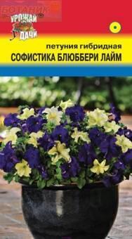 Купить оптом в Ботанике семена Петуния Софистика Лайм блюббери УУ бренд Урожай Удачи