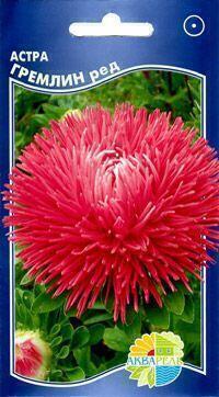 Купить оптом в Ботанике семена Астра Гремлин ред Акв бренд Акварель