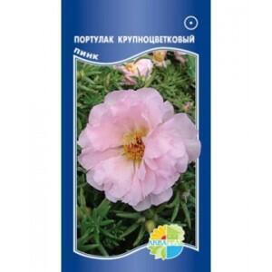 Купить оптом в Ботанике семена Портулак Крупноцветковый пинк Акв бренд Акварель