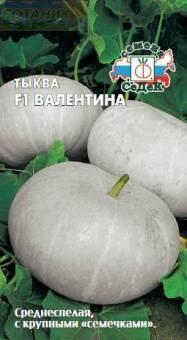Купить оптом в Ботанике семена Тыква Валентина F1 Сед бренд СеДеК