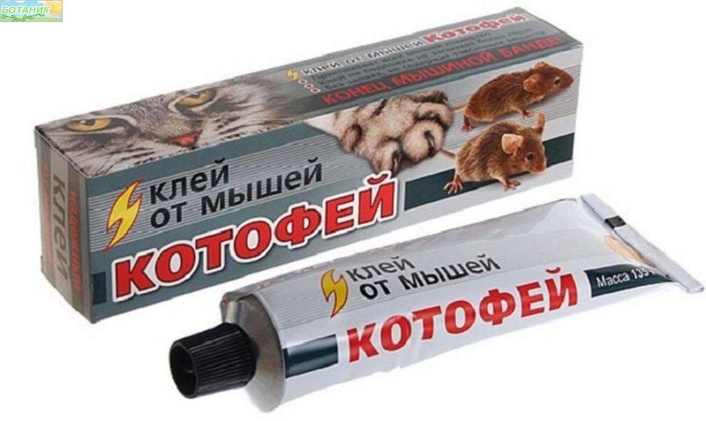 Купить оптом в Ботанике Клей Котофей 60г (50)