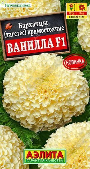 Купить оптом в Ботанике семена Бархатцы Ванилла прямостоячие F1 Аэл бренд Аэлита