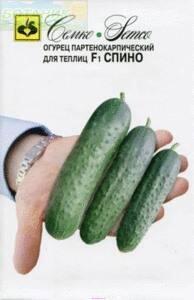 Купить оптом в Ботанике семена Огурец Спино F1 Сем бренд Семко