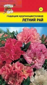 Купить оптом в Ботанике семена Годеция Летний рай УУ бренд Урожай Удачи