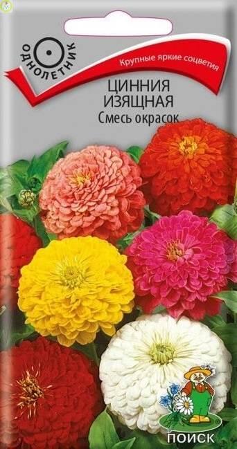 Купить оптом в Ботанике семена Цинния изящная Смесь окрасок Поиск бренд Поиск