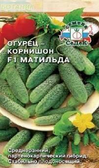 Купить оптом в Ботанике семена Огурец Матильда F1 Сед бренд СеДеК