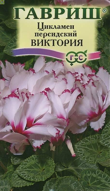 Купить оптом в Ботанике семена Цикламен Виктория Гав бренд Гавриш