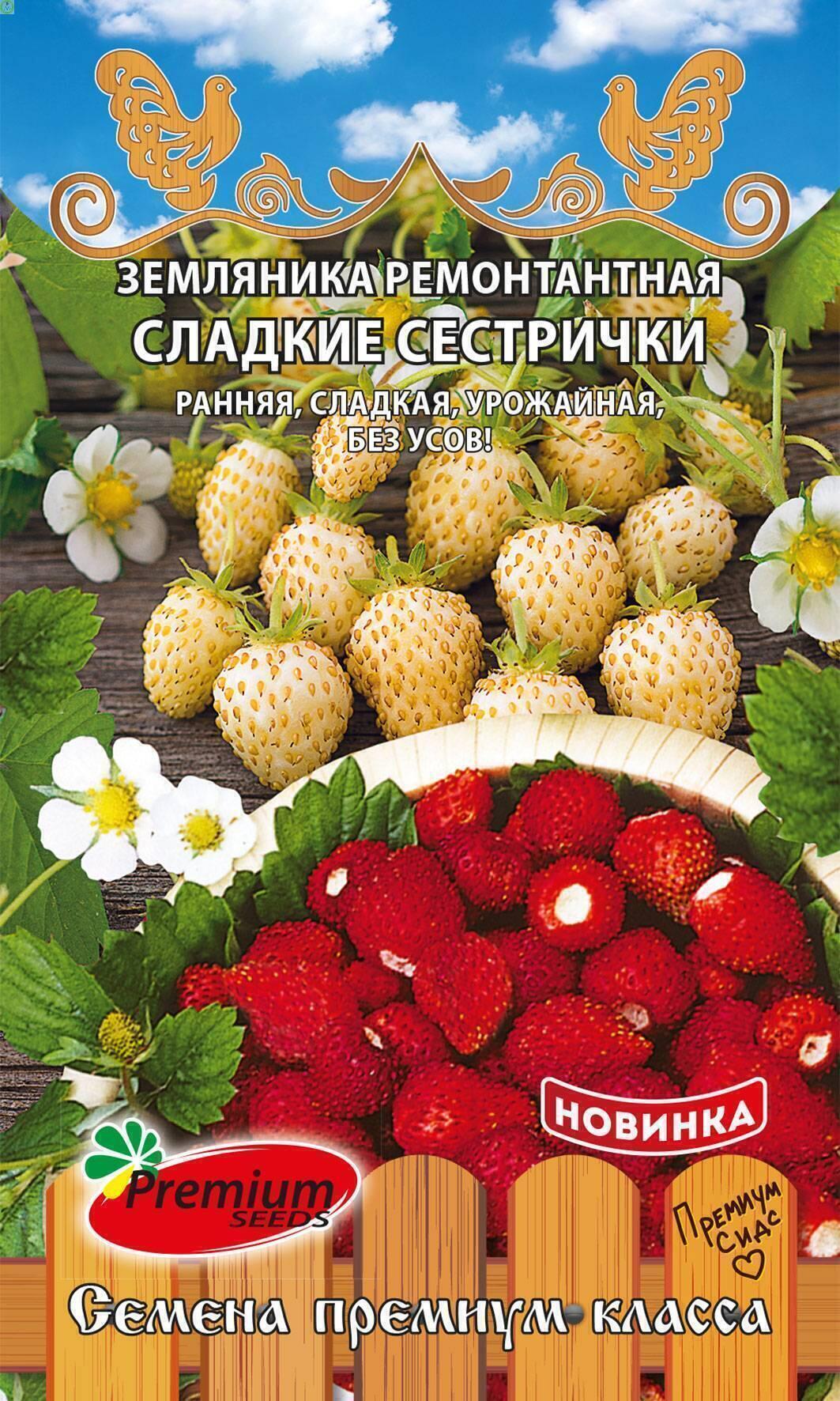 Купить оптом в Ботанике семена Земляника Сладкие сестрички ПС бренд Премиум Сидс