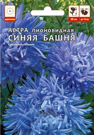 Купить оптом в Ботанике семена Астра Башня синяя СА бренд Семена Алтая