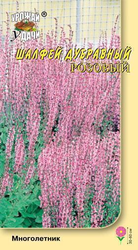 Купить оптом в Ботанике семена Шалфей Дубравный розовый УУ бренд Урожай Удачи