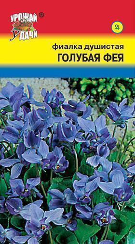 Купить оптом в Ботанике семена Фиалка Голубая фея УУ бренд Урожай Удачи