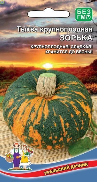 Купить оптом в Ботанике семена Тыква Зорька крупноплодная УД бренд Уральский дачник