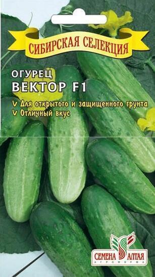 Купить оптом в Ботанике семена Огурец Вектор СА бренд Семена Алтая