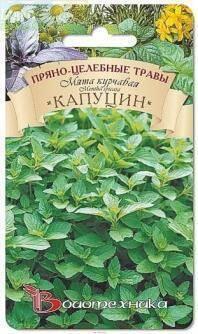 Купить оптом в Ботанике семена Мята Капуцин Био бренд Биотехника