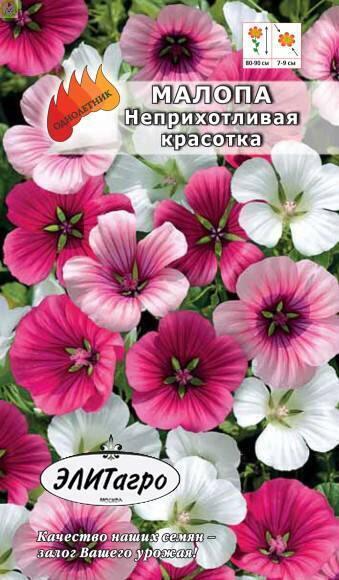 Купить оптом в Ботанике семена Малопа Неприхотливая красотка Аэл бренд Аэлита