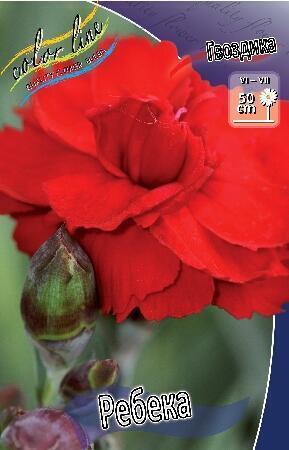 Купить оптом в Ботанике Гвоздика Ребека 2 шт