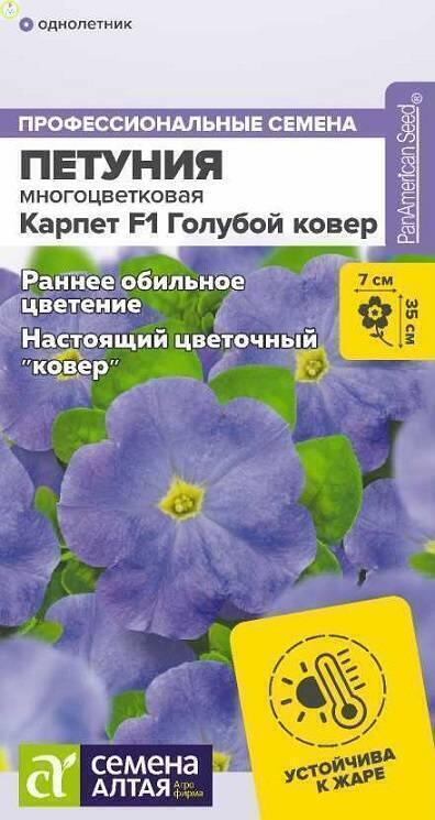 Купить оптом в Ботанике семена Петуния Карпет Голубой ковер СА бренд Семена Алтая