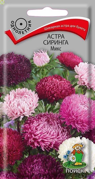 Купить оптом в Ботанике семена Астра Сиринга микс Поиск бренд Поиск