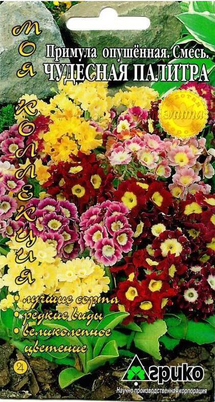 Купить оптом в Ботанике семена Примула Чудесная палитра смесь Агр бренд Агрико