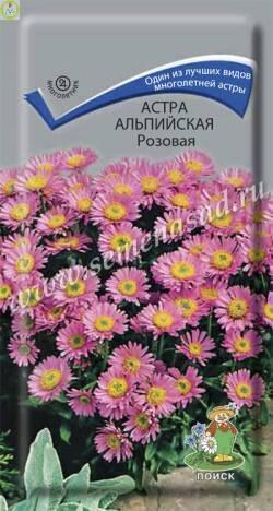 Купить оптом в Ботанике семена Астра Альпийская розовая Поиск бренд Поиск