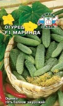 Купить оптом в Ботанике семена Огурец Маринда F1 Сед бренд СеДеК