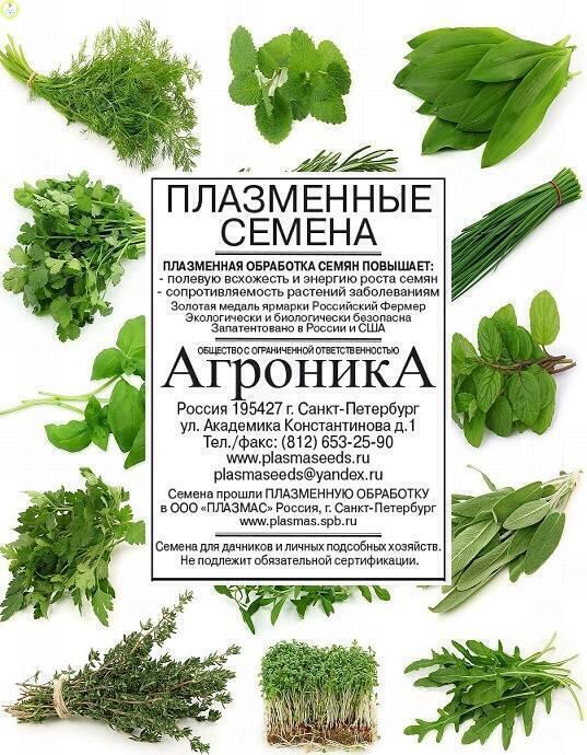 Купить оптом в Ботанике семена Укроп Кустистый б/п Плз бренд Плазмас