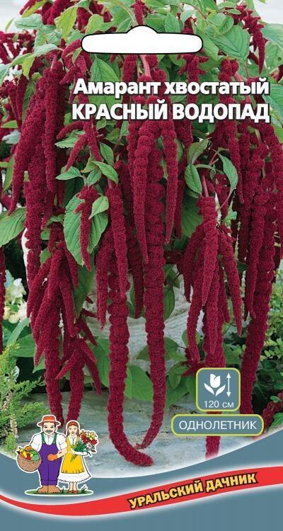 Купить оптом в Ботанике семена Амарант Красный водопад УД бренд Уральский дачник