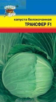 Купить оптом в Ботанике семена Капуста белокочанная Трансфер F1 УУ бренд Урожай Удачи