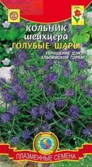 Купить оптом в Ботанике семена Кольник Шейхцера Плз бренд Плазмас