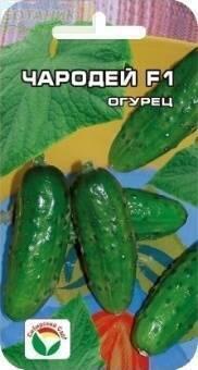 Купить оптом в Ботанике семена Огурец Чародей F1 СС бренд Сиб.сад