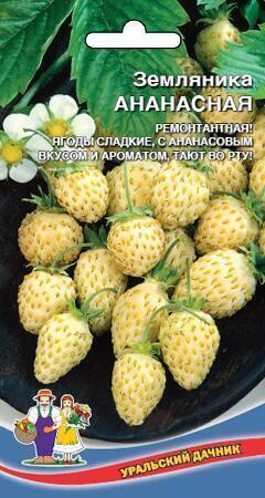 Купить оптом в Ботанике семена Земляника Ананасная УД бренд Уральский дачник