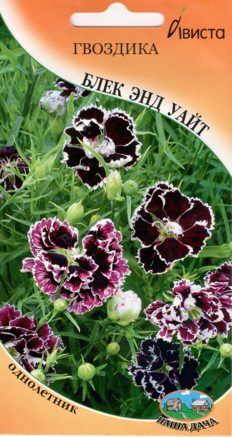 Купить оптом в Ботанике семена Гвоздика Блек энд Уайт Ав бренд Ависта